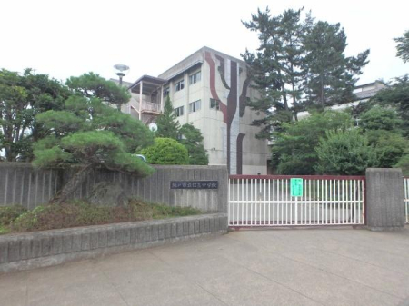 ӊ ywZzˎsZgwZF3100m