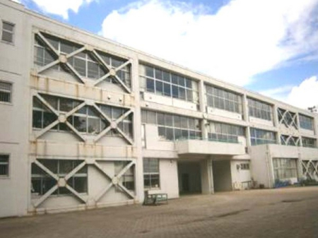 ӊ ywZzˎsRwF1000m