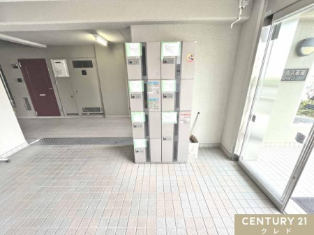 ̑ y֗ȑz{bNXz
ʔ̗p̑ƒɂ͕KiI
ĔzB̎ԂAA邽߂ɋ}Sz܂B
ڐGȂŉו󂯎j[m[}ȕ炵ł܂