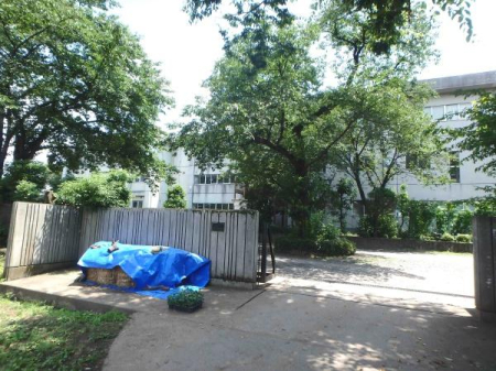 ӊ ywZzˎsƏwZF2535m