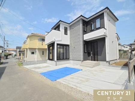 ԏ 3䒓ԉ\ȂƂ̃J[Xy[XtB
Ƒ̎Ԃ͂AFBeʂVтɗA}ȗqɂSłB