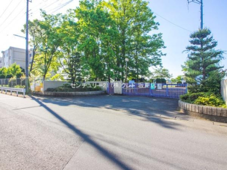 ӊ ywZzˎsЖwZF1100m