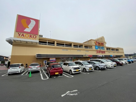 ӊ yX[p[zIR[RXF2533m