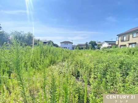 nynʐ^ lڂCɂȂɂƒnI
O猩ɂAJIŃvCx[g̍Ԑ݌v\łI
Cyɂ₢킹B