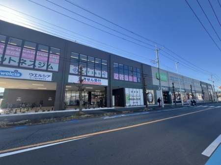 ӊ yX[p[zR[v˖tXF550m