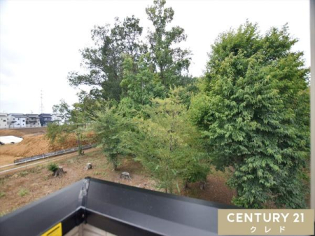 Z˂̒]ʐ^ oRj[̒]łB
ꂽɂ͐󂪍LASn悢ȂƂԂ܂B