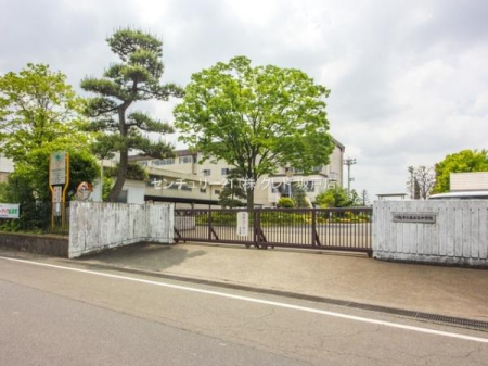 ӊ ywZzzsÒJwZF1300m