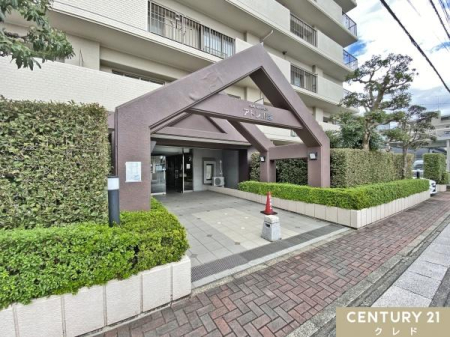 GgX Opt[ۓIȃGgXB
A͂ɍʂꂽAv[`ƉtŁAJ̓X[Yɏoł܂Bp̊ǗԂǍDłB