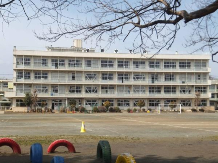 ӊ ywZzzs׏wZF2480m