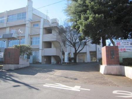 ӊ ywZzzsגwZF2240m