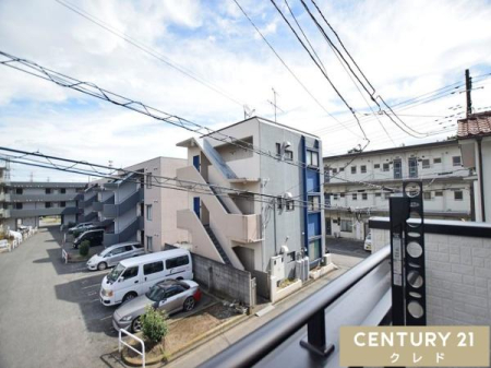 Z˂̒]ʐ^ oRj[̒]łB
z̗ǂZXGÁAX̉Ǝ׋̍ԂɂقƈꑧƂł܂B