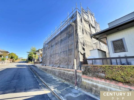 ̑n Ek̗ʓHŗzAʕǍDȗnIʂĖ邢z˂݂܂B