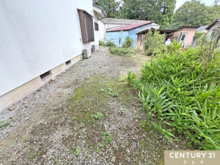  A͂Ȃǐg߂ɗ΂y߂邨낪܂B
G߂ƂɕωA𒭂߂Aqlybg̗VяƂĂp܂B