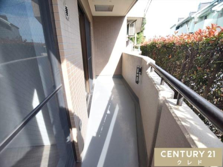 oRj[ Sn悢z˂Ƒu₩ȕJIȓ쓌oRj[B
͂Ղ̌݁A󕨂C悭܂B