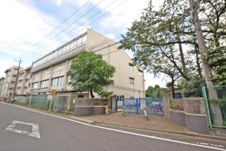 ӊ ywZzzs֓wZF880m