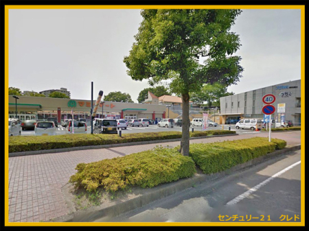 ӊ yX[p[z}~[}[gXF570m