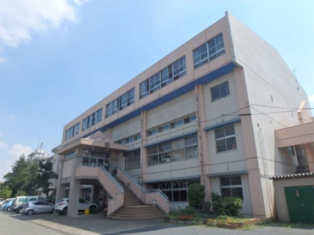 ӊ ywZzzsP֓wZF400m