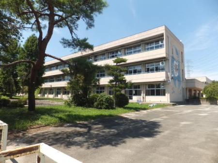 ӊ ywZzRswZF330m