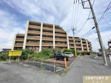 ̑n žb݂鉷肠ӂZˁBzłƑ̏ΊPVy݂łˁB