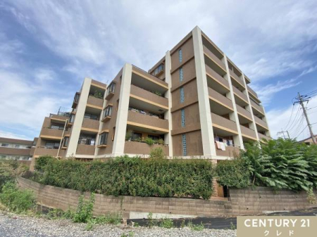 ̑n Ǝ{݂⋳@ւkɏ[IqĉƑɃsb^IӊĂē܂I