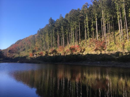 ӊ yW[EόzRkJF5660m