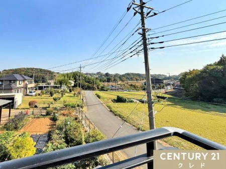 Z˂̒]ʐ^ oRj[L̂́AƗ΂̂̂т₩ȌiFB
OʂĂ邽ߌƕC悭荞݁AG߂̈ڂ낢g߂Ɋ܂B