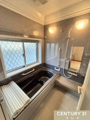  _[Ng[̗B
肭낰؃^CvłB
tŎRƊCmۂꂽ́AƐSn悳܂B