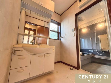 ʑEʏ [ՂȒ݌˒ItOʋϑIpiXgbN܂Ōڂ悭܂܂B
Lт֌̓VN̉X܂łꂢɗ܂B