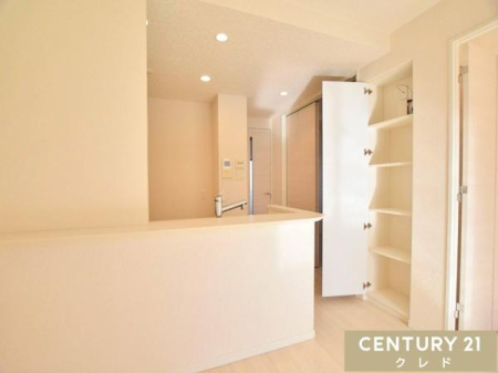 ���[ �L�b�`�����ɔ��t�����[������܂��B
���p�i�⏑�ށA�H�i�̃X�g�b�N�i�Ȃǌ��₷�������ł��܂��B�������������ƉB����̂ŁA�}�ȗ��q�������S�ł��I