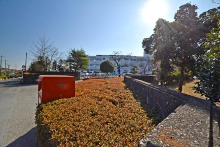 ӊ ywZzRsRwZF1600m