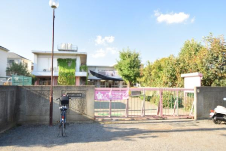 ���ӊ� �y�c�t���E�ۈ牀�z���K���ۈ牀�F550m