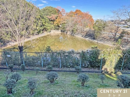 Z˂̒]ʐ^ yEbhfbL̒]z
ڂ̑Oɂ͎Ղ̂̂Ȃӂ̌iFL܂B
Rg߂ɊȂÂт̂тƂ炵܂B