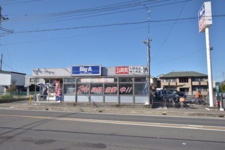 ���ӊ� �y�X�[�p�[�z�r�b�O�E�G�[�V�h�X�F1977m