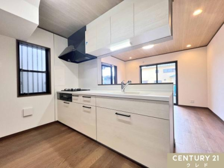 �L�b�`�� �㕔�݂̒�˒I�ɉ����A�����܂ł���������[�ł���X���C�h���[���̗p�B
��������̂ł����肪���Ȃɂ����≌�����C�����₷�����K�ɉƎ����s���܂��B