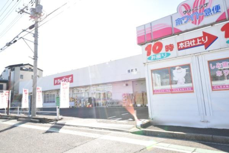 ���ӊ� �y�h���b�O�X�g�A�z�h���b�O�X�M �w��X�F4942m