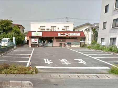 ���ӊ� �y�X�[�p�[�z�~�j�R�[�v�����R�X�F590m