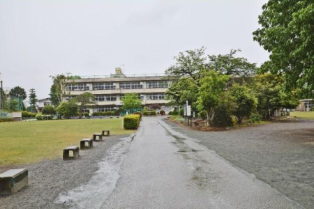 ���ӊ� �y���w�Z�z�񋏒����j�Ώ��w�Z�F1800m