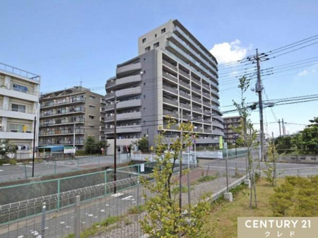 ���̑����n 2026�N3�����m�x�[�V�������{�I��������V����A���K�ɂ��߂������������܂��B
�y�b�g�ƈꏏ�ɕ�点��}���V�����ł��i�ב��L�j