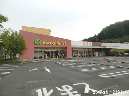 ���ӊ� �y�X�[�p�[�z�}�~�[�}�[�g�є\�����u�X�F3700m