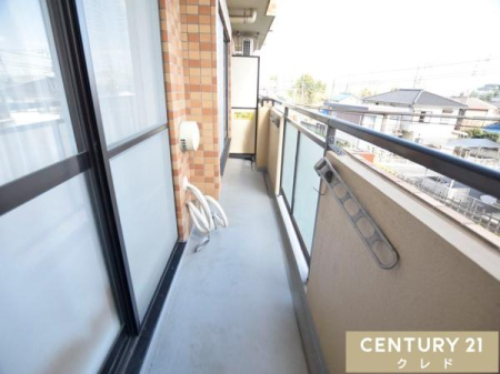 �o���R�j�[ �S�n�悢�z�˂��Ƒu�₩�ȕ����������������o���R�j�[�B�����͂����Ղ�̌����������݁A�����󕨂��C�����悭�������܂��B