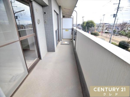 �o���R�j�[ �S�n�悢�z�˂��Ƒu�₩�ȕ�����������쓌�����o���R�j�[�B�����͂����Ղ�̌����������݁A�����󕨂��C�����悭�������܂��B