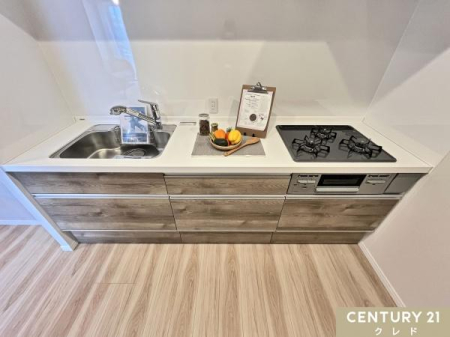 �L�b�`�� �V�K���������V�X�e���L�b�`���B���̕��܂Ŏ��o���₷���X���C�h�����[��A���������ɕ֗���3���K�X�R�����𓋍ځB���[�N�g�b�v���ɂ̓R���Z���g������A�����Ɠd���X�b�L���g���ĕ֗��ł��B