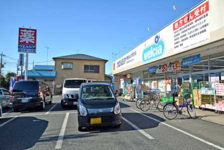 ���ӊ� �y�h���b�O�X�g�A�z�E�G���V�A��Ǔ����R�Z�����X�F1072m