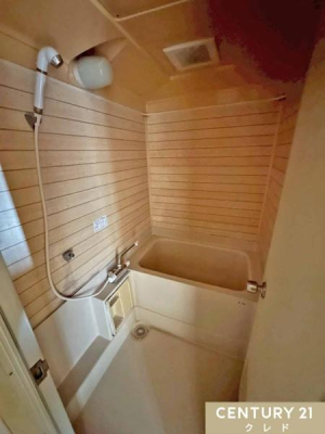 ���� �������������ؖڒ��p�l�����̗p�����o�X���[���B�����̃o�X�^�C���������b�N�X���ĉ߂�����A������������ԂƂȂ��Ă��܂��B