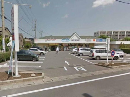 ���ӊ� �y�h���b�O�X�g�A�z�E�G���V�A�߃��������X�F334m