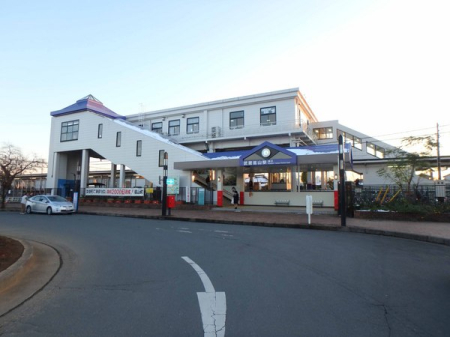 ���ӊ� �y�w�z�������R�w(���� ����{��)�F400m