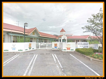 ���ӊ� �y�c�t���E�ۈ牀�z�킩�܂ۈ牀�F803m