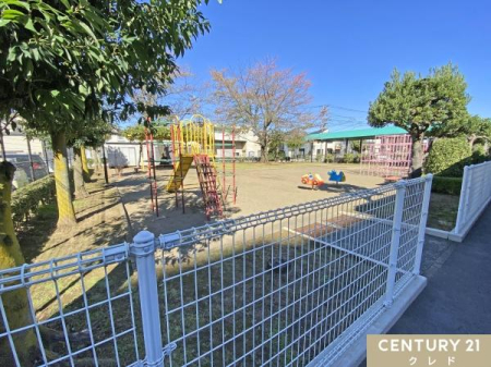 ���̑����n �}���V�����~�n���ɂ́A���q�l���̂т̂їV�ׂ��p�����������I�W�����O���W���Ȃǂ̗V�����A�����̗V�я�ɂ҂�����ł��B