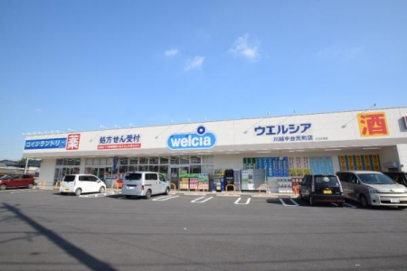���ӊ� �y�h���b�O�X�g�A�z�E�G���V�A��z���䌳���X�F466m