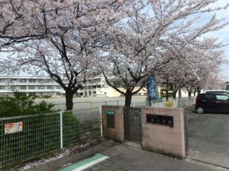 ���ӊ� �y���w�Z�z�g�������쏬�w�Z�F1223m